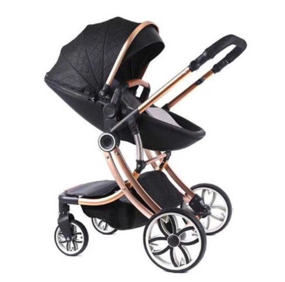 Luxury Baby Stroller 2-in-1